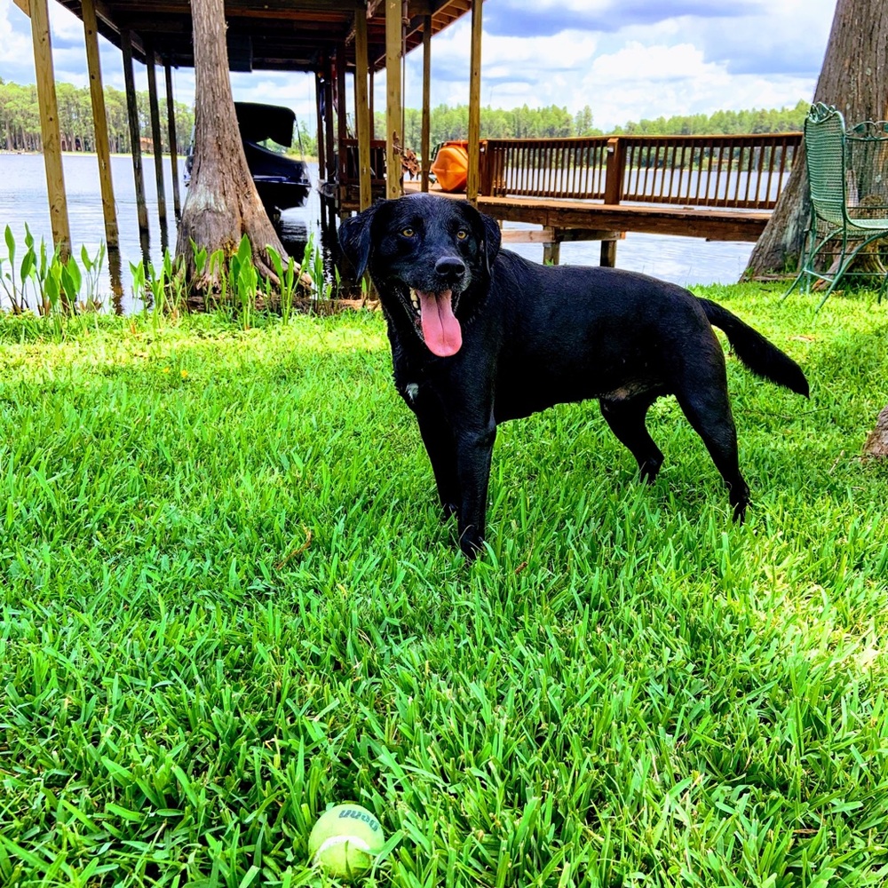 Meet your Posher, Isabella